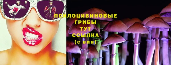 ешки Белокуриха
