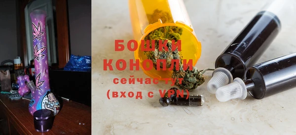 ешки Белокуриха