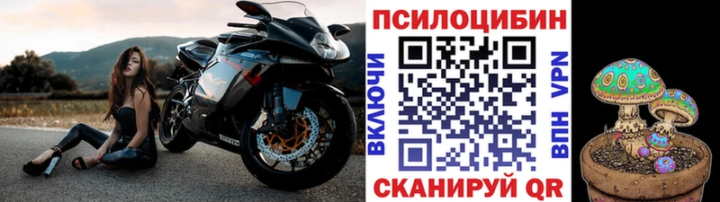 Галлюциногенные грибы Psilocybine cubensis  цены наркотик  Верея 